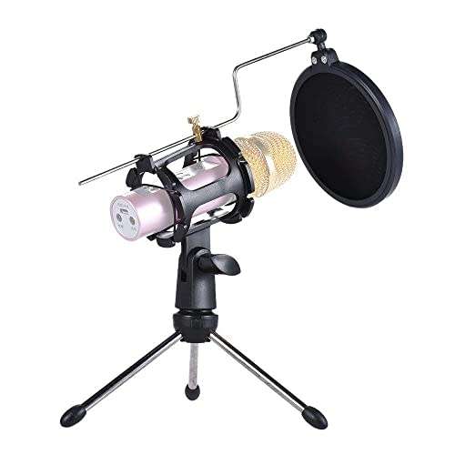 Professional Foldable Desktop Microphone Tripod Stand with Pop Shield Dual Filter