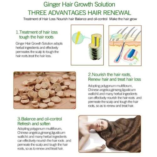 GINGER GERMINAL Anti-hair Loss and Hair Re-Growth Shampoo