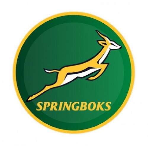 Official Junior Springbok Supporters Tee   ( 7 - 8yrs )