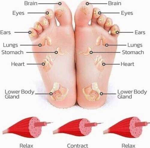 EMS Acupoint Pain Relief Foot Massager & Electrical Muscle Stimulator