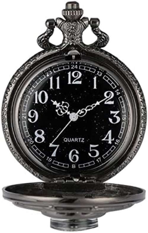 Stunning Steampunk Designer Case Compass Mechanical Pocket Watch