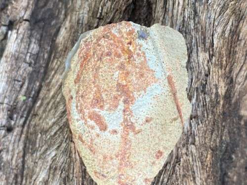 Amethyst cluster from Namibia.