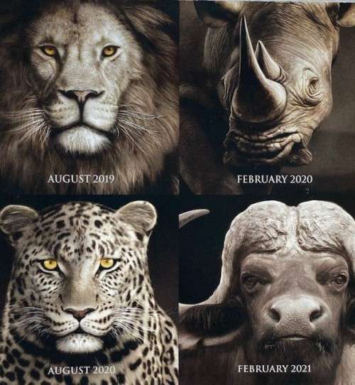 *** The Big Five `Elephant` R5 1 oz Silver Coin. Limited Mintage of 15,000. ***