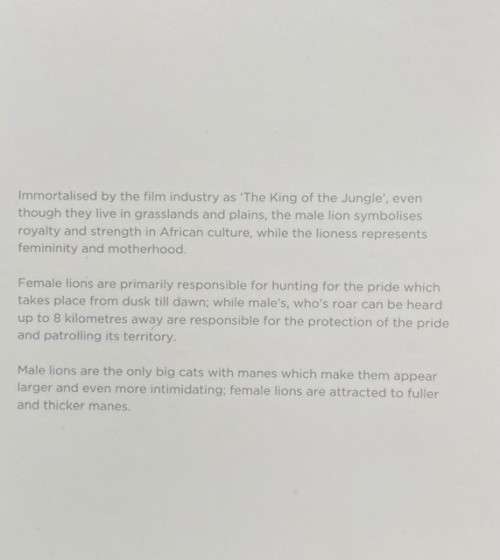 *** The Big Five `Lion` 2019 R5 -1 oz Silver Coin. Limited Mintage of only 15,000 ***