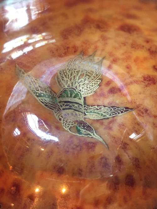 Wedgewood hand painted fine bone china bowl