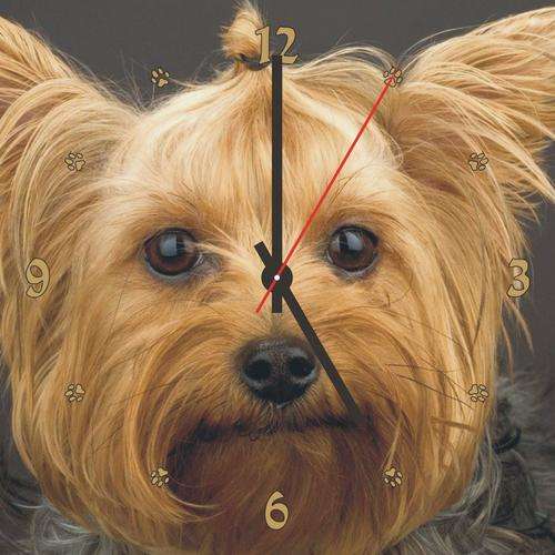 Dog Clock