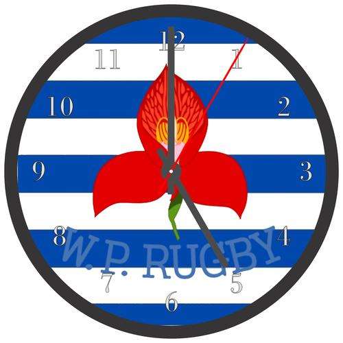 Western Province LP Record Clock