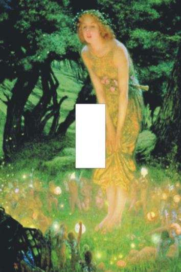 Fairy Light switch cover plate