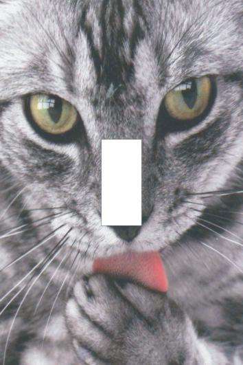 Cat Light switch cover plate