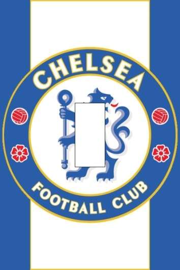Chelsea Light Switch Cover Plate