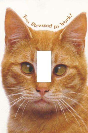 Cat Light switch cover plate
