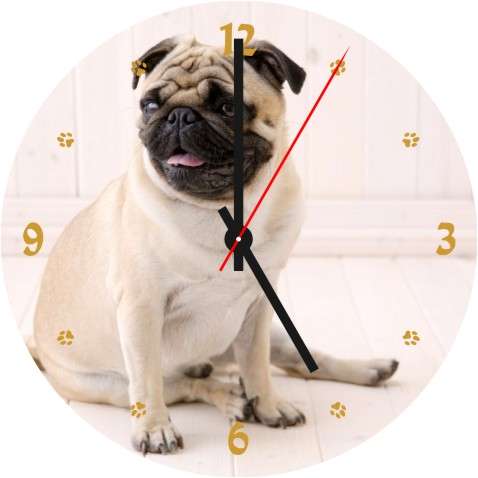 Dog CD Clock
