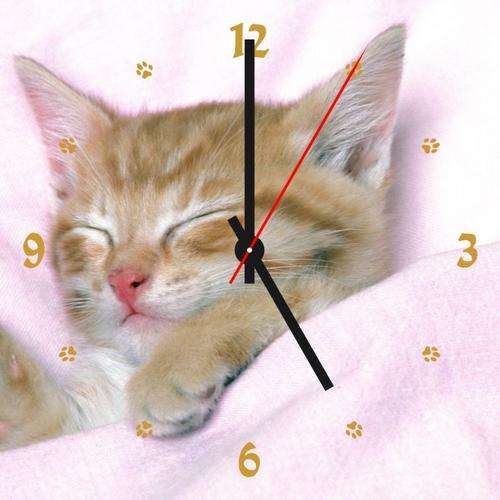 Cat Clock