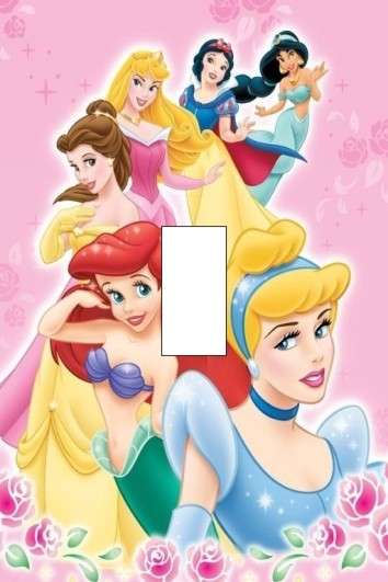 Princess Light switch cover plate