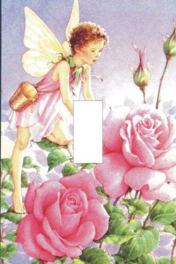 Fairy Light switch cover plate