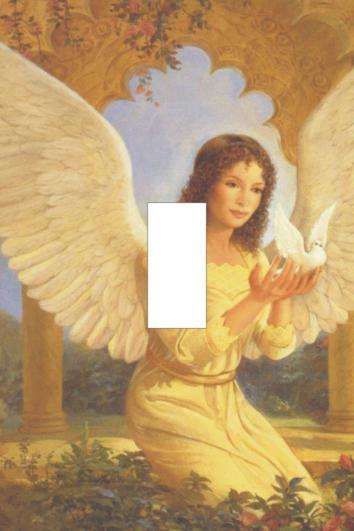Angel Light switch cover plate