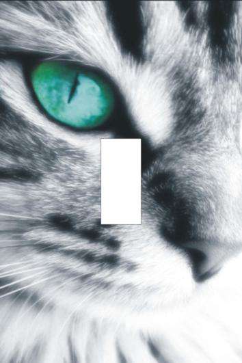 Cat Light switch cover plate