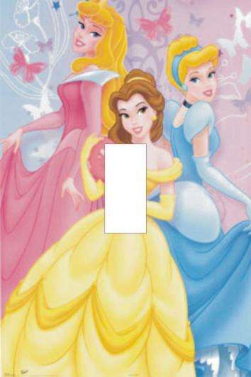 Princess Light switch cover plate