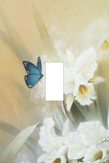 Butterfly Light Switch Cover Plate
