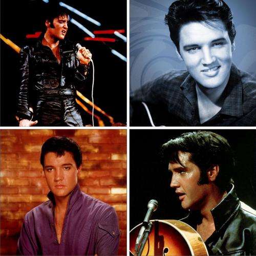 Elvis Magnetic Coaster Set (4 pc)