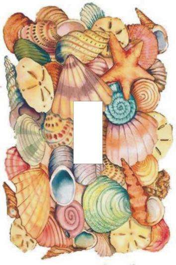 Shells Light switch cover plate