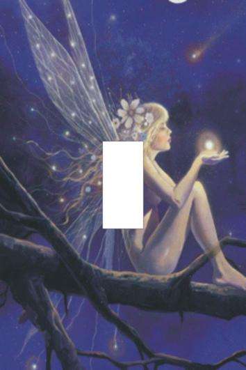 Fairy Light switch cover plate