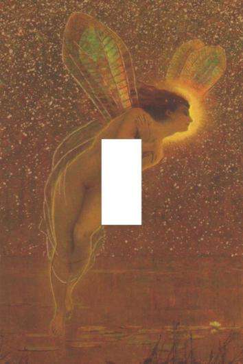 Fairy Light switch cover plate