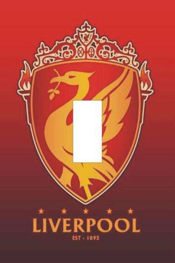 Liverpool Light switch cover plate