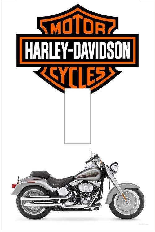 Harley Davidson Light switch cover plate