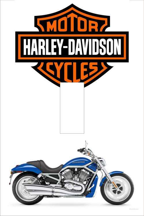 Harley Davidson Light switch cover plate