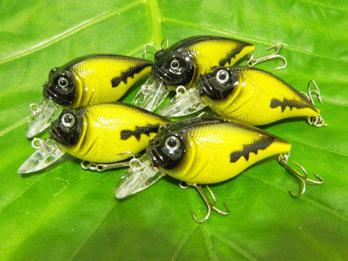 Shallow Running Crankbait