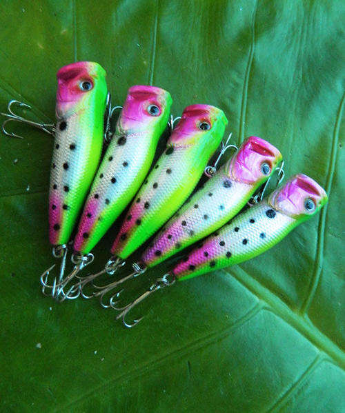 Topwater Popper  Fishing Lure