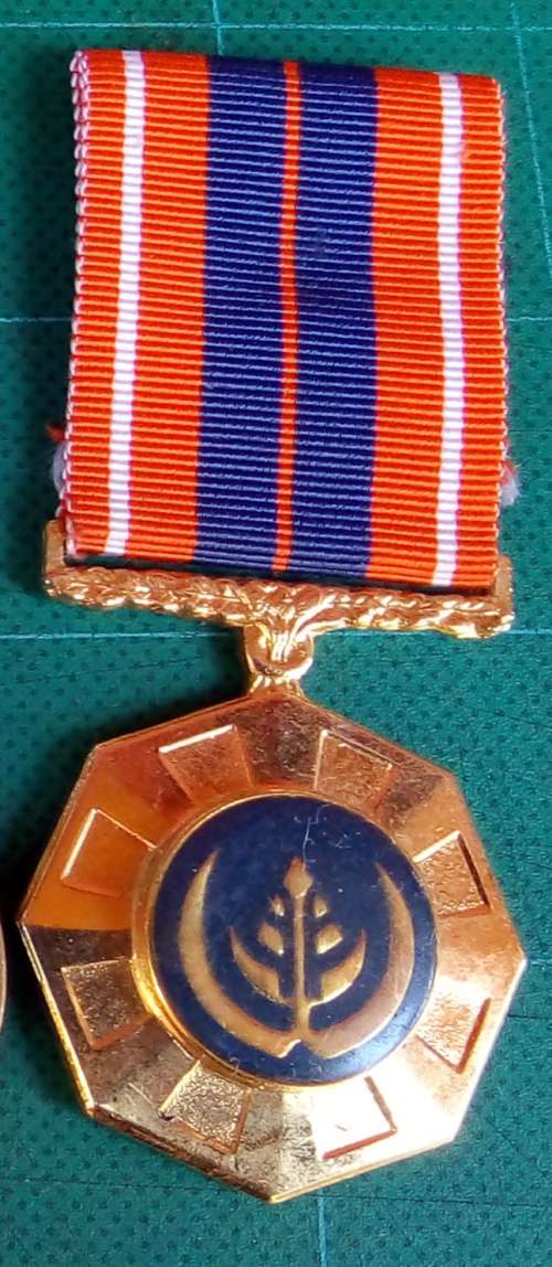 South Africa Military Medals