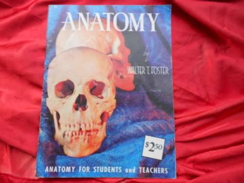 "Anatomy"  "How to draw" paperback issue no. 21 by Walter T. Foster