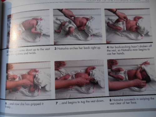 "The Social Baby"  Understanding Baby's Communication from Birth.