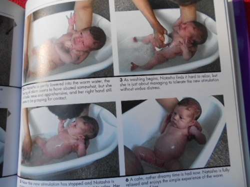 "The Social Baby"  Understanding Baby's Communication from Birth.