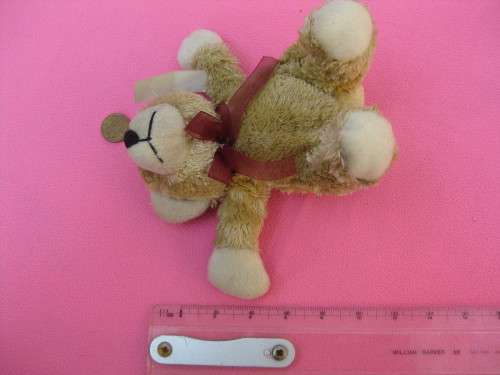 Teddy bear small