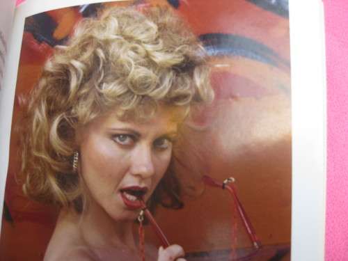 `Olivia  The Biography of Olivia Newton-John`  Soft cover.  Tim Ewbank.