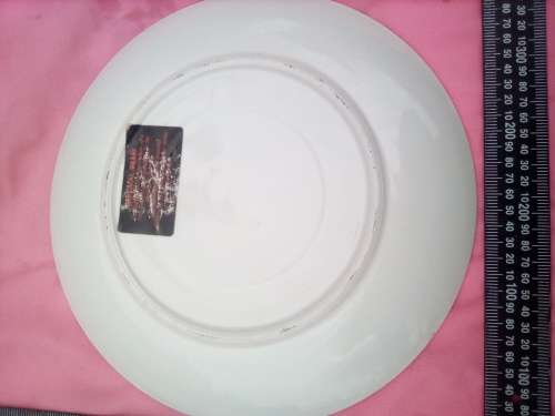 Imari plate.  The size of a dinner plate.