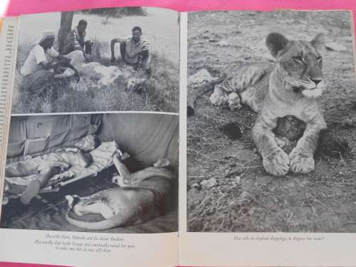 1960.  `Born Free` A Lioness of Two Worlds.  Joy Adamson.   Hard cover.