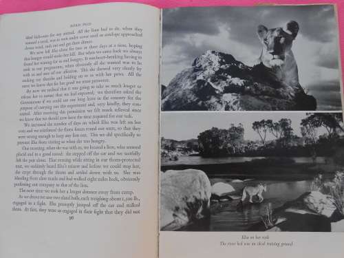 1960.  `Born Free` A Lioness of Two Worlds.  Joy Adamson.   Hard cover.