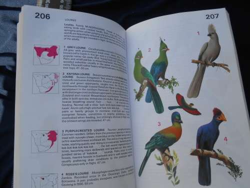 `Newman`s Birds of Southern Africa`  The Green Edition.  Sappi.  Soft cover.