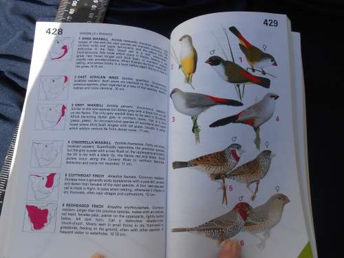 `Newman`s Birds of Southern Africa`  The Green Edition.  Sappi.  Soft cover.