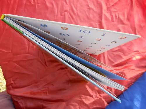 `Richard Scarry`s Best Counting Book Ever`  Hard cover.