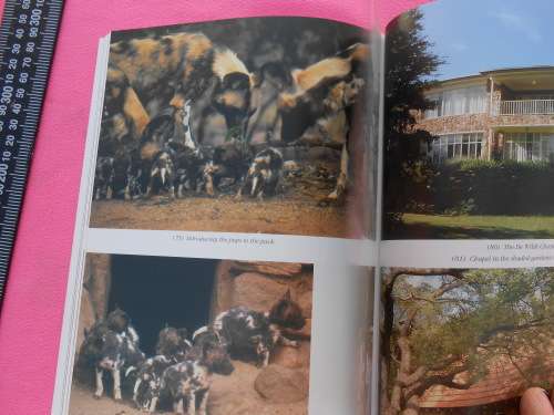 `The Cheetahs of de Wildt`  Ann van Dyk`s story of the struggle to save the Cheetah.  Soft cover.