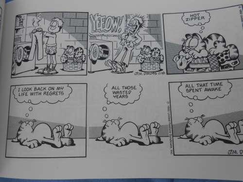 `Garfield hits the big time`  His 25th Book.  Jim Davis.  Soft cover.