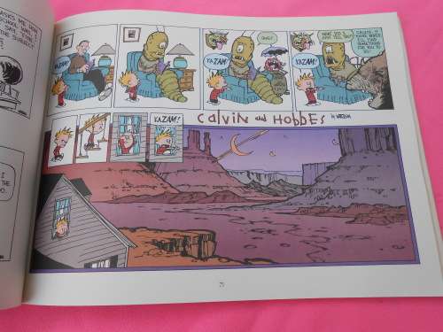 `Homicidal Pscho Jungle Cat`  A Calvin & Hobbes Collection.  Soft cover.