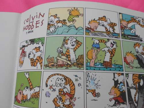 `Homicidal Pscho Jungle Cat`  A Calvin & Hobbes Collection.  Soft cover.