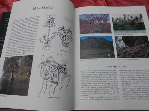 `Letts Guide to Orchids of the World`  Hard cover.