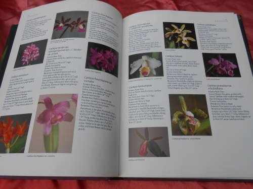`Letts Guide to Orchids of the World`  Hard cover.